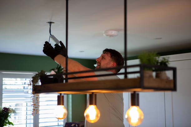 Best Electrical System Inspection  in White Cloud, MI